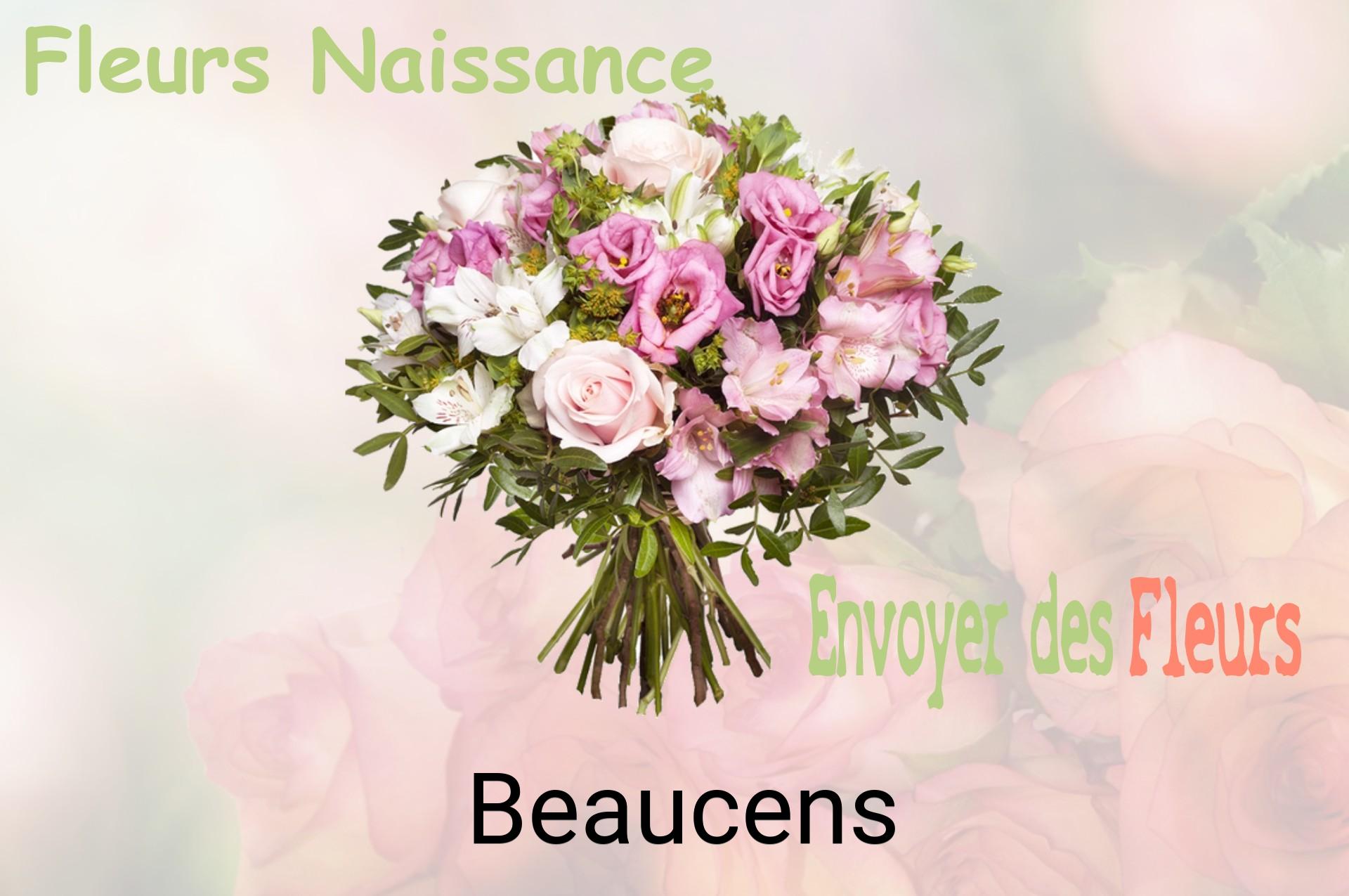 Bouquet de fleurs de naissance livré à Beaucens